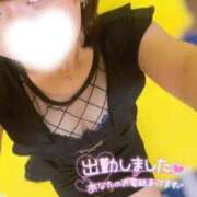 ヒメ日記 2025/09/09 08:14 投稿 ハイビ/hibi 英國屋（金津園）