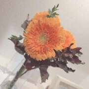 ヒメ日記 2025/01/12 17:16 投稿 真由（マユ） アバンチュール(五反田)