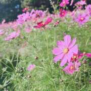 ヒメ日記 2025/05/25 13:16 投稿 真由（マユ） アバンチュール(五反田)