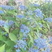 ヒメ日記 2025/06/28 09:16 投稿 真由（マユ） アバンチュール(五反田)