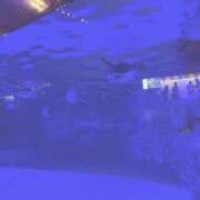 ヒメ日記 2025/10/12 13:16 投稿 真由（マユ） アバンチュール(五反田)