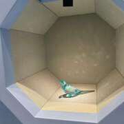 真由（マユ） ? アバンチュール(五反田)