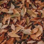 ヒメ日記 2025/11/29 07:16 投稿 真由（マユ） アバンチュール(五反田)