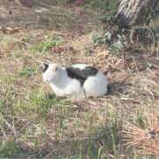 ヒメ日記 2026/03/14 13:31 投稿 真由（マユ） アバンチュール(五反田)