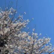 真由（マユ） ? アバンチュール(五反田)