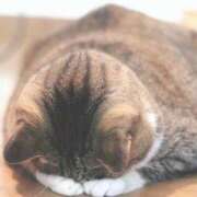 真由（マユ） ??♀???♀???♀? アバンチュール(五反田)