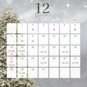 ヒメ日記 2025/12/11 10:58 投稿 りせ フォーシーズン