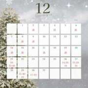 りせ ごめんなさい🥲 フォーシーズン