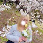 ヒメ日記 2025/04/04 19:51 投稿 ありさ 浜松駅前ちゃんこ