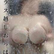 ヒメ日記 2025/04/26 16:02 投稿 ありさ 浜松駅前ちゃんこ