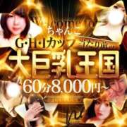 ヒメ日記 2025/11/01 12:23 投稿 ありさ 浜松駅前ちゃんこ