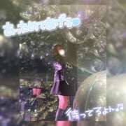 ヒメ日記 2025/11/11 16:09 投稿 ありさ 浜松駅前ちゃんこ