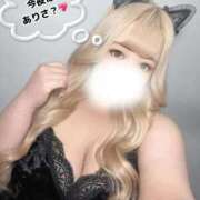 ヒメ日記 2025/11/29 21:39 投稿 ありさ 浜松駅前ちゃんこ