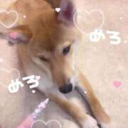 ヒメ日記 2025/12/06 14:03 投稿 ありさ 浜松駅前ちゃんこ