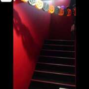 ヒメ日記 2025/10/24 07:23 投稿 ミサコ バニーコレクション秋田店