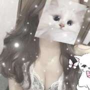 ヒメ日記 2025/02/15 09:27 投稿 せな スピード日本橋店