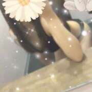 ヒメ日記 2025/02/20 08:57 投稿 せな スピード日本橋店