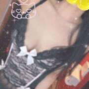 ヒメ日記 2026/01/24 09:27 投稿 せな スピード日本橋店