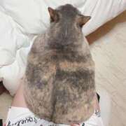 ヒメ日記 2025/01/12 16:39 投稿 みずき 札幌しこたまクリニック