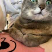 ヒメ日記 2025/01/31 15:39 投稿 みずき 札幌しこたまクリニック