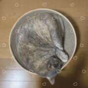 ヒメ日記 2025/04/15 13:19 投稿 みずき 札幌しこたまクリニック