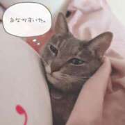 ヒメ日記 2025/04/19 13:29 投稿 みずき 札幌しこたまクリニック