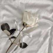 ヒメ日記 2025/05/31 01:09 投稿 みずき 札幌しこたまクリニック