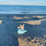 ヒメ日記 2025/06/02 00:09 投稿 みずき 札幌しこたまクリニック