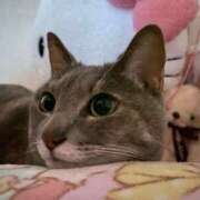 ヒメ日記 2025/06/03 12:59 投稿 みずき 札幌しこたまクリニック