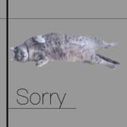 ヒメ日記 2025/06/03 14:49 投稿 みずき 札幌しこたまクリニック