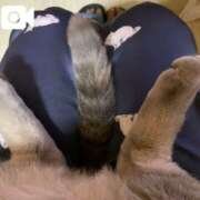 ヒメ日記 2025/06/05 21:59 投稿 みずき 札幌しこたまクリニック