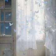 ヒメ日記 2025/06/14 09:59 投稿 みずき 札幌しこたまクリニック