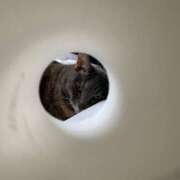 ヒメ日記 2025/06/15 17:39 投稿 みずき 札幌しこたまクリニック