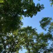 ヒメ日記 2025/06/18 16:39 投稿 みずき 札幌しこたまクリニック