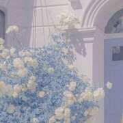 ヒメ日記 2025/07/13 20:49 投稿 みずき 札幌しこたまクリニック