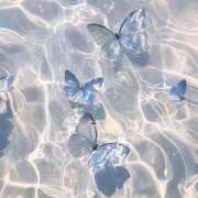 ヒメ日記 2025/07/23 15:09 投稿 みずき 札幌しこたまクリニック