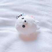 ヒメ日記 2025/08/06 15:19 投稿 みずき 札幌しこたまクリニック