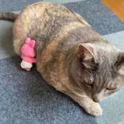 ヒメ日記 2025/08/23 18:49 投稿 みずき 札幌しこたまクリニック