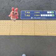 ヒメ日記 2025/09/30 15:19 投稿 みずき 札幌しこたまクリニック