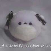 ヒメ日記 2025/10/15 13:09 投稿 みずき 札幌しこたまクリニック