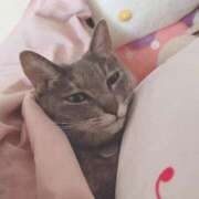 ヒメ日記 2025/11/22 13:29 投稿 みずき 札幌しこたまクリニック