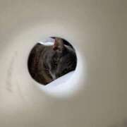 ヒメ日記 2026/01/16 14:29 投稿 みずき 札幌しこたまクリニック