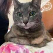 ヒメ日記 2026/02/20 20:49 投稿 みずき 札幌しこたまクリニック