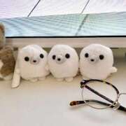 ヒメ日記 2026/02/25 13:50 投稿 みずき 札幌しこたまクリニック