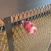 ヒメ日記 2026/04/06 23:59 投稿 みずき 札幌しこたまクリニック