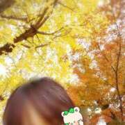 ヒメ日記 2025/12/06 15:38 投稿 かほ 横浜ハートショコラ（シンデレラグループ）