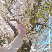 かほ ぎりぎり春！ 横浜ハートショコラ（シンデレラグループ）