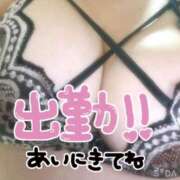 ヒメ日記 2024/12/22 10:41 投稿 ましろ 鹿児島ちゃんこ 天文館店