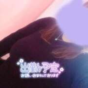 ヒメ日記 2025/04/17 20:02 投稿 ましろ 鹿児島ちゃんこ 天文館店