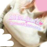 ヒメ日記 2025/04/20 09:53 投稿 ましろ 鹿児島ちゃんこ 天文館店